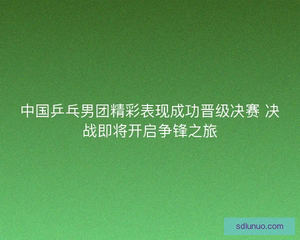 中国乒乓男团精彩表现成功晋级决赛 决战即将开启争锋之旅