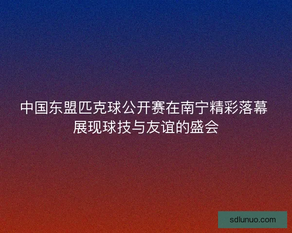 中国东盟匹克球公开赛在南宁精彩落幕 展现球技与友谊的盛会